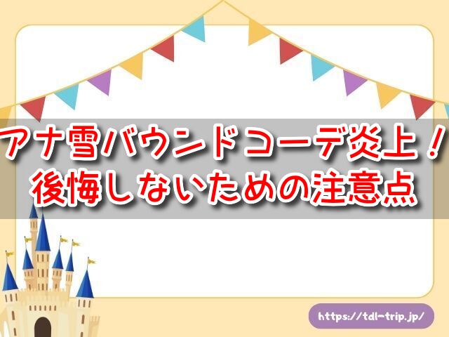 アナ雪　バウンドコーデ　炎上　後悔　注意点　公式マナー